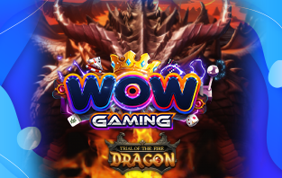 Wow Gaming